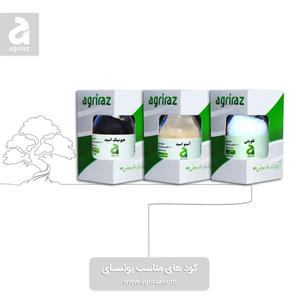 کود مناسب بنسای