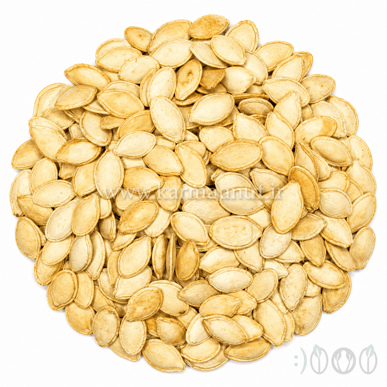 تخم کدو گوشتی رژیمی