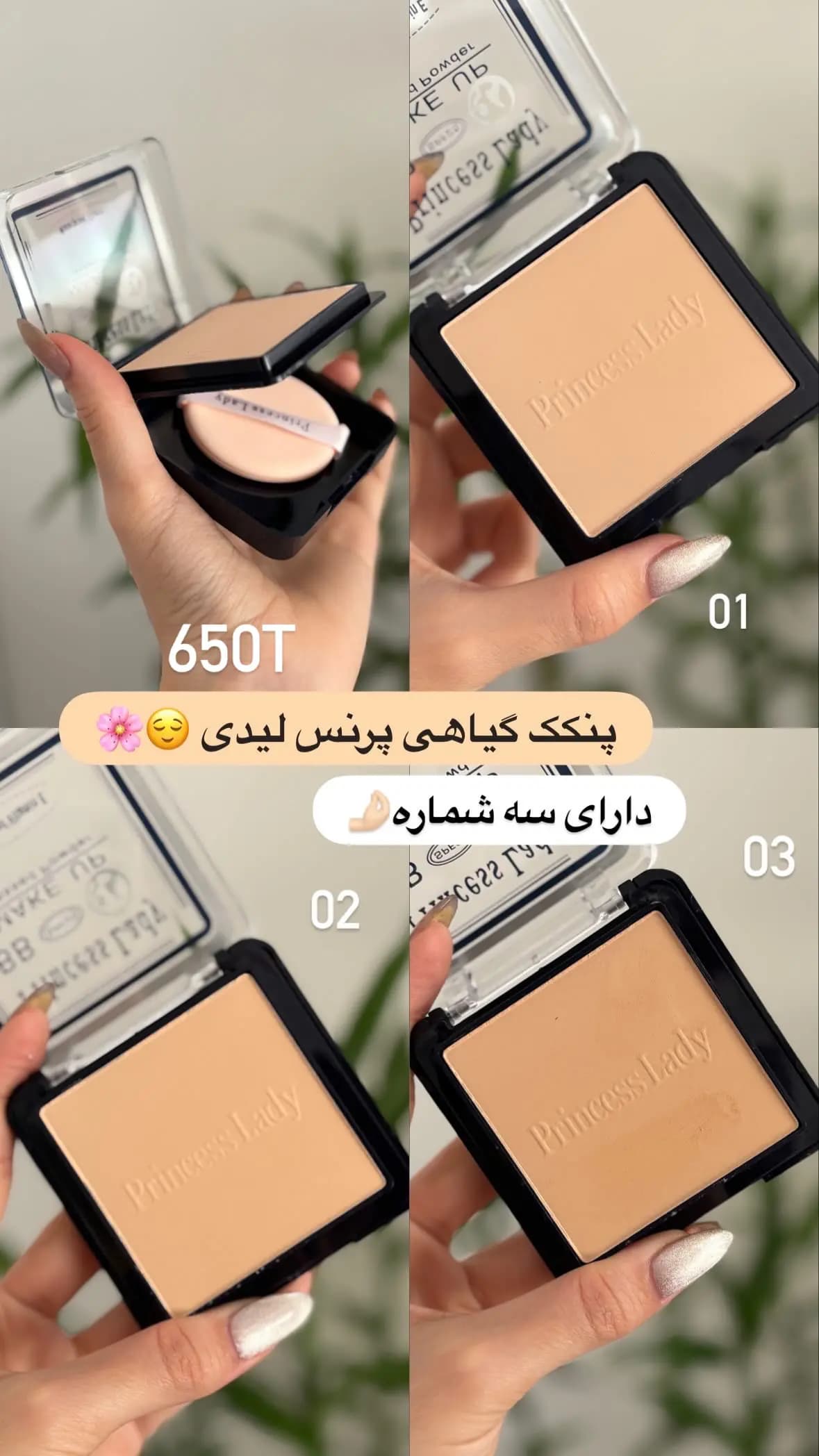 پنکک گیاهی پرنس لیدی princess lady — تصویر ۳