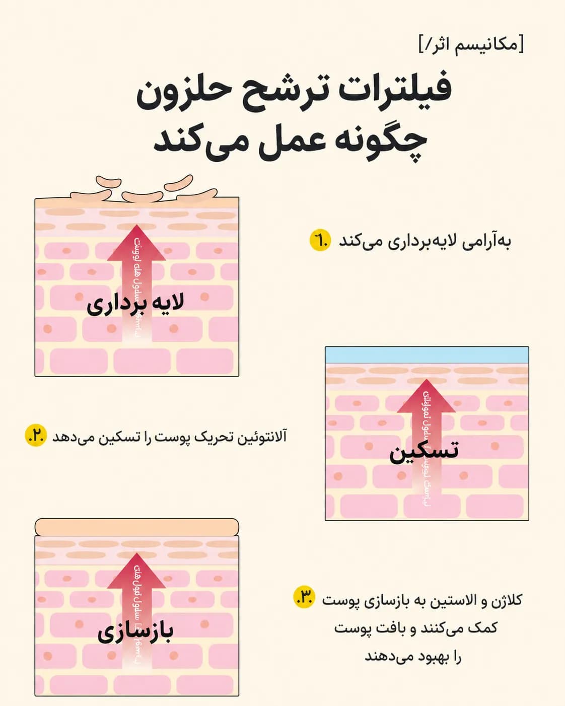 اسنس ترمیم‌کننده حلزون کوزارکس COSRX Advanced Snail 96 Mucin Power Essence حجم 100 میل - یاز شاپ — تصویر ۴