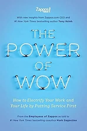 و دانلود نسخه کامل کتاب زبان اصلی The Power of WOW: How to Electrify Your Work and Your Life by Putting Service First | دانلود کتاب خارجی