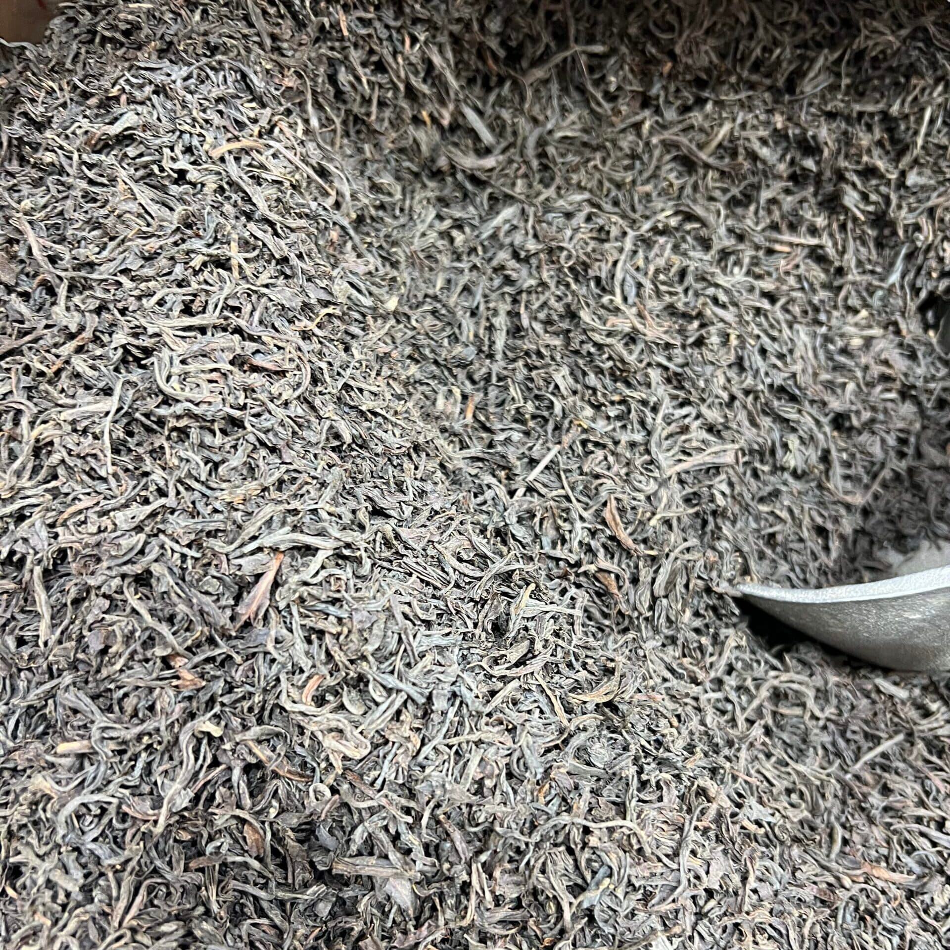چای قلم دارجلینگ درجه یک