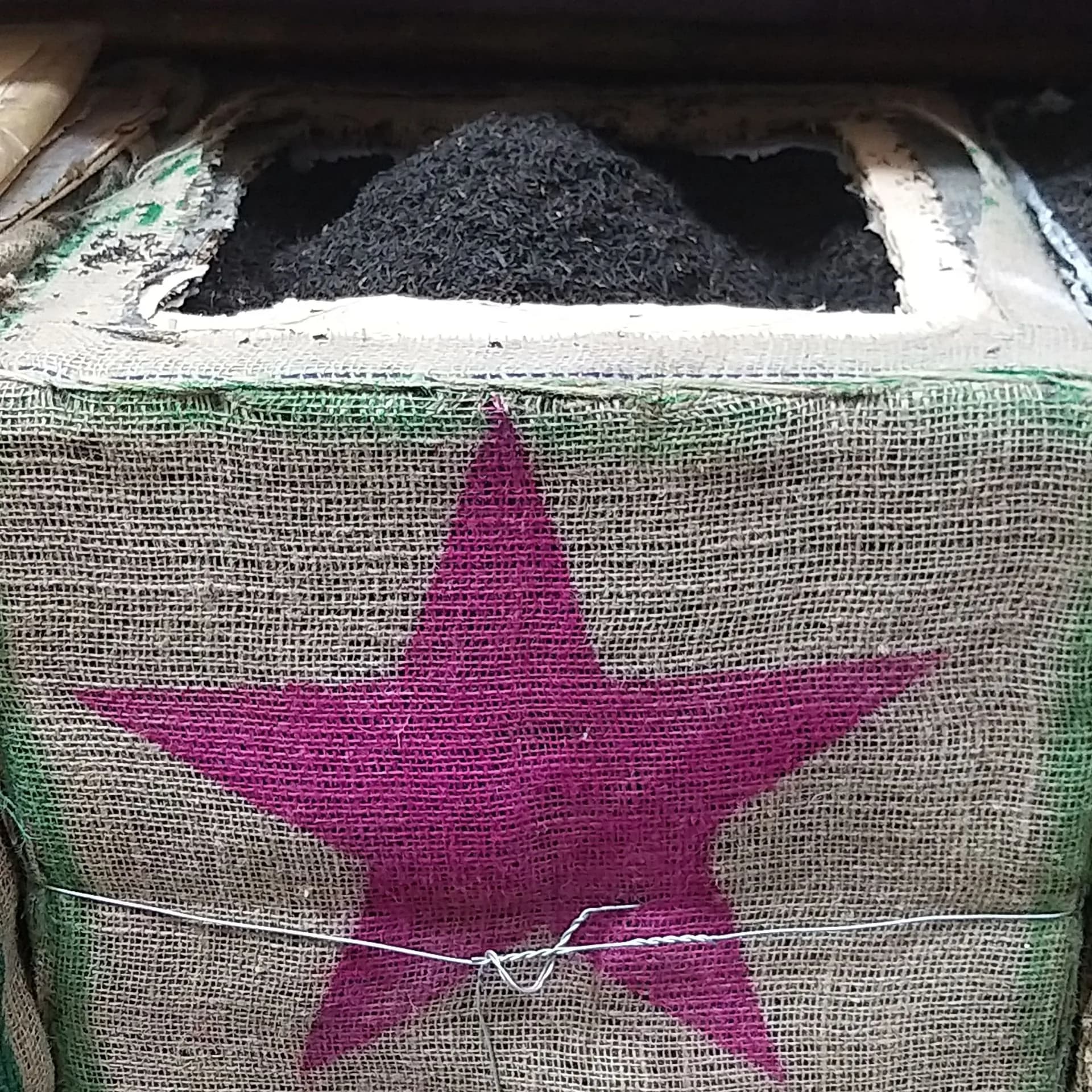 چای شکسته تک ستاره – پر سفید
