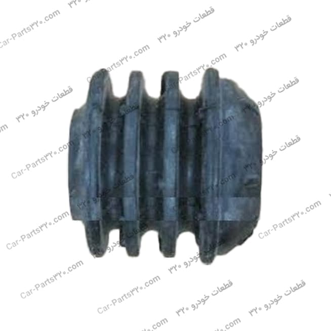 آکاردئونی سر کمک دوو ریسر