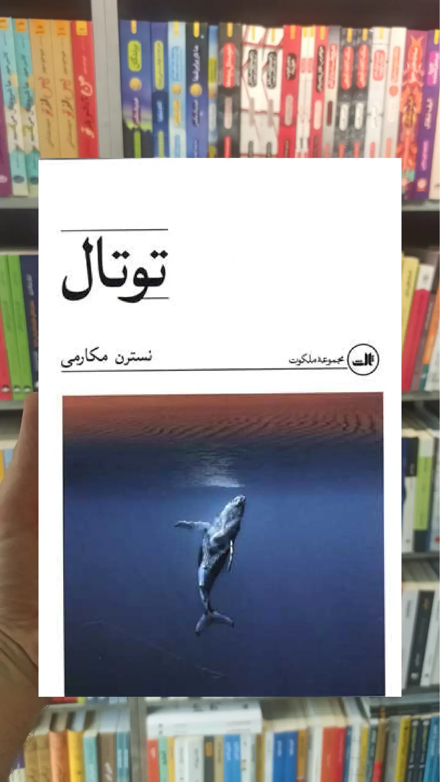 توتال ثالث