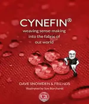 دانلود کتاب Cynefin – Weaving Sense-Making into the Fabric of Our World – Cynefin – بافتن حس ساختن به پارچه…