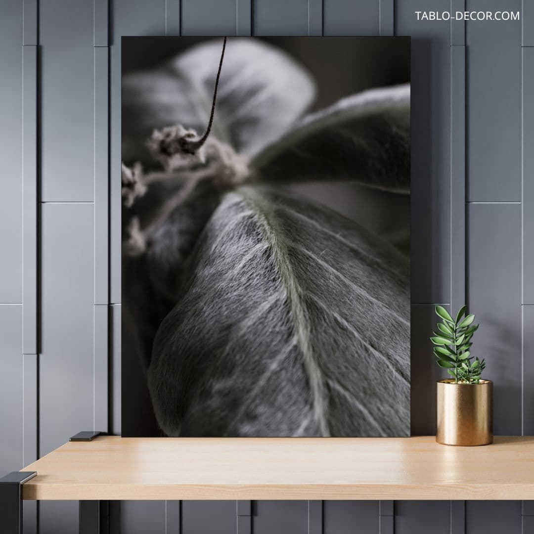 تابلو برگ زیبا beautiful leaf