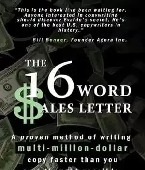 دانلود کتاب The 16-Word Sales Letteró: A proven method of writing multi-million-dollar copy faster than you ever thought possible –…