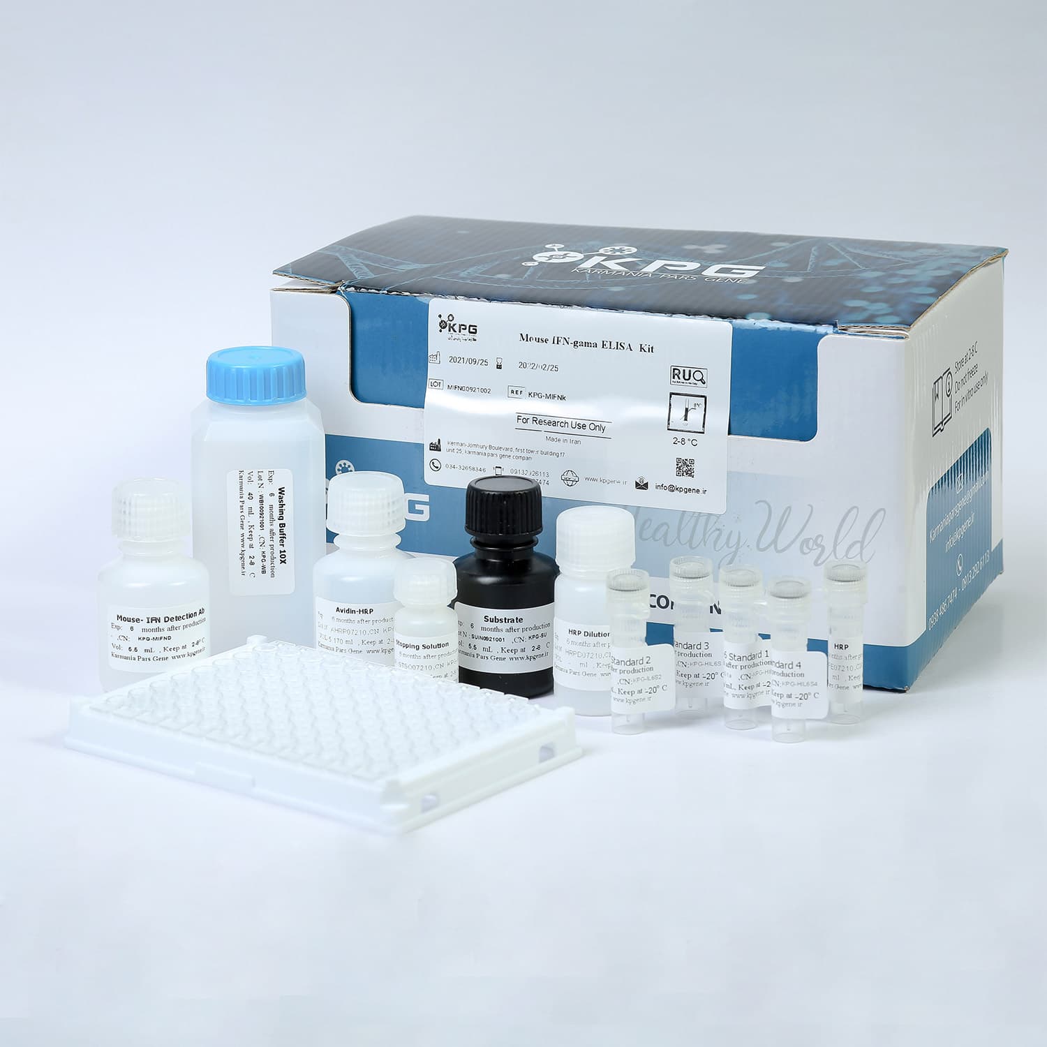 کیت الایزا برای اندازه گیری IFN-gamma موشی