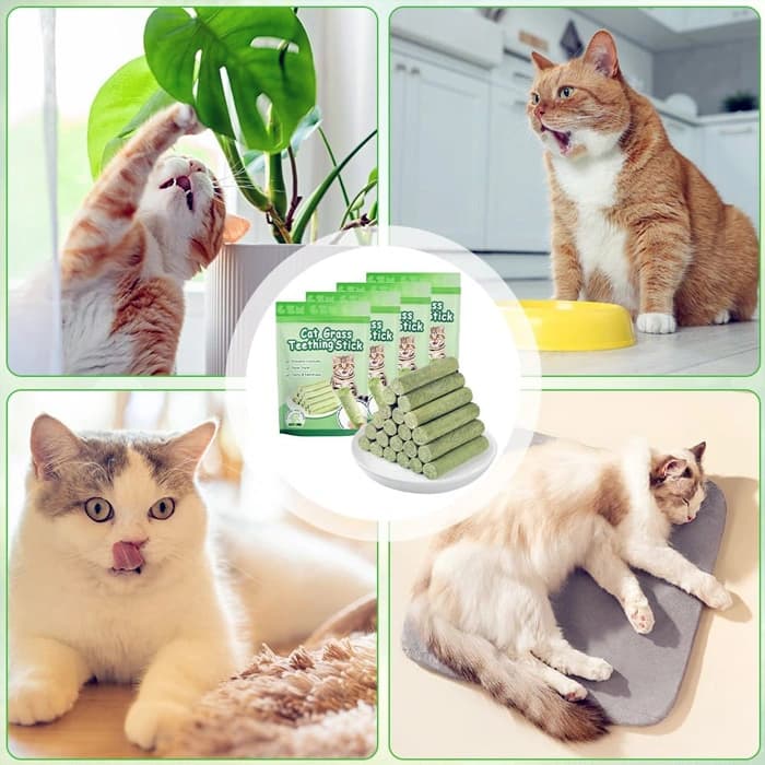 تشویقی علف گربه کت گرس با طعم مرغ مدل میله‌ای وزن 30 گرم Cat Grass Teething Stick — تصویر ۴