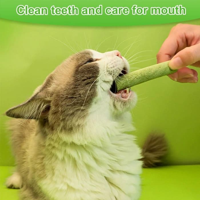 تشویقی علف گربه کت گرس با طعم مرغ مدل میله‌ای وزن 30 گرم Cat Grass Teething Stick — تصویر ۵