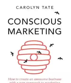 دانلود کتاب Conscious marketing: how to create an awesome business with a new approach to marketing – بازاریابی آگاه: چگونه…