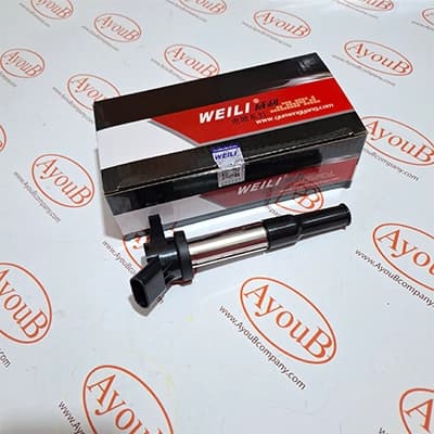 کویل ون اینرودز WEILI