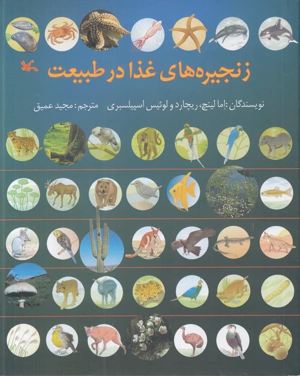 زنجیرههای غذا در طبیعت