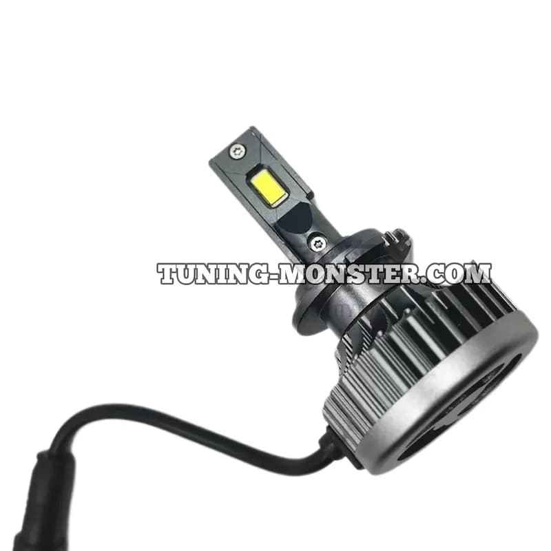 هدلایت Z11 زیمر D1S-D2S — تصویر ۳
