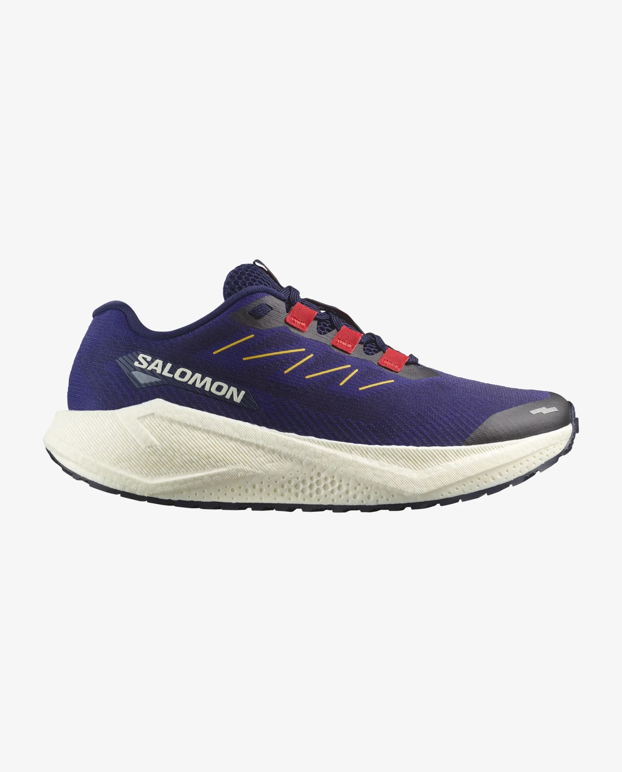 کفش تریل رانینگ مردانه سالامون AERO BLAZE 3 GRVL