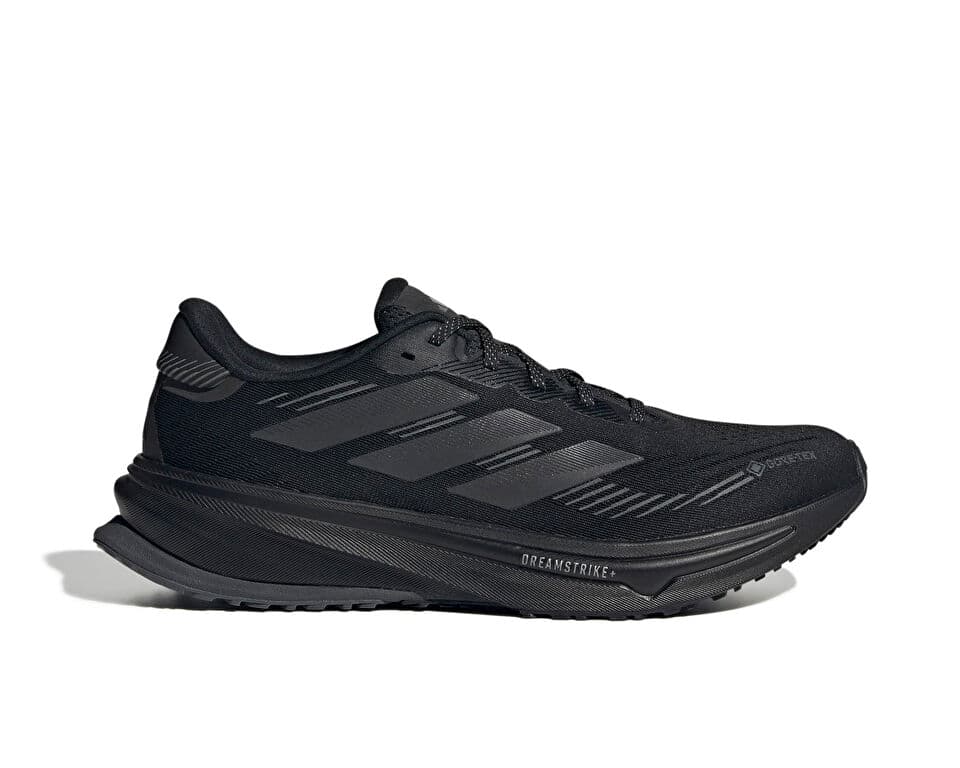 Adidas SUPERNOVA RISE GTX M Shoes