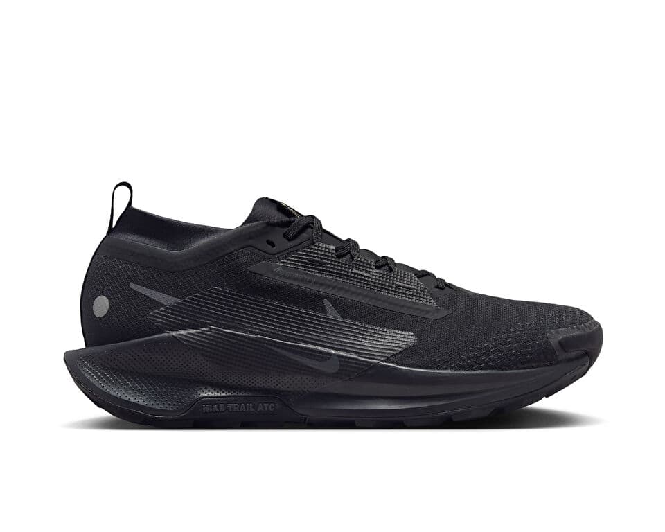 Nike PEGASUS TRAIL 5 GTX Shoes