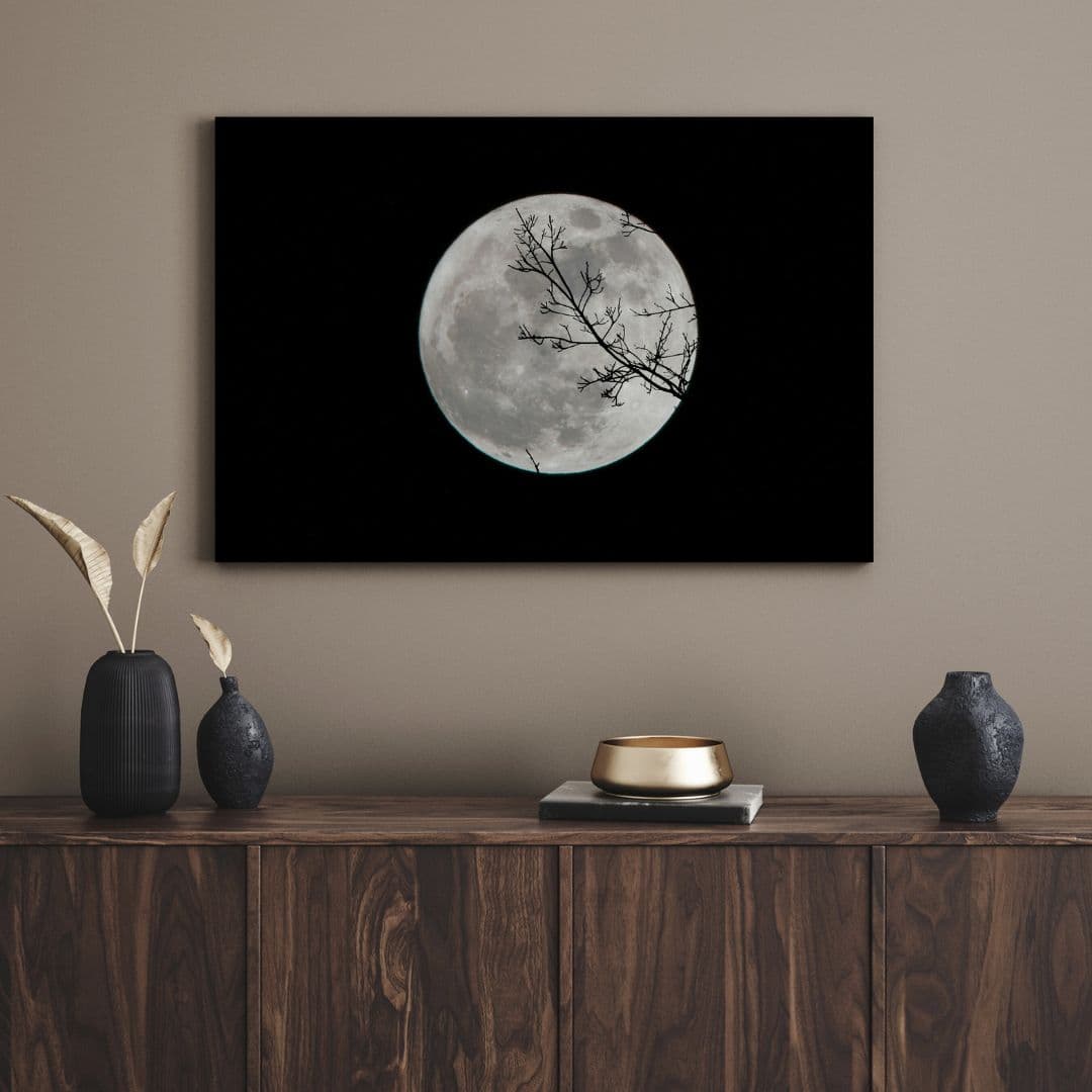 تابلو ماه تابان Shining moon