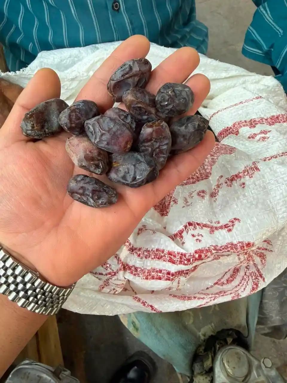 خرمای فرسی — تصویر ۴
