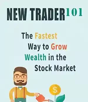 دانلود کتاب New Trader 101: The Fastest Way to Grow Wealth in the Stock Market – New Trader 101: سریعترین…
