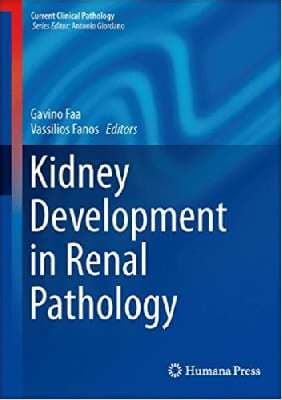 دانلود کتاب Kidney Development in Renal Pathology