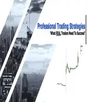 دانلود کتاب Professional Trading Strategies: What Real Traders Need to Succeed – استراتژی های تجارت حرفه ای: آنچه معامله گران…