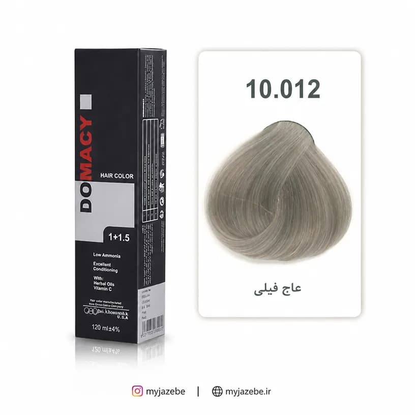 رنگ مو دوماسی 10.012