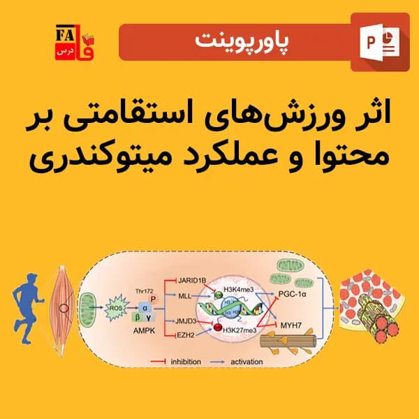 پاورپوینت اثر ورزش‌های استقامتی بر محتوا و عملکرد میتوکندری
