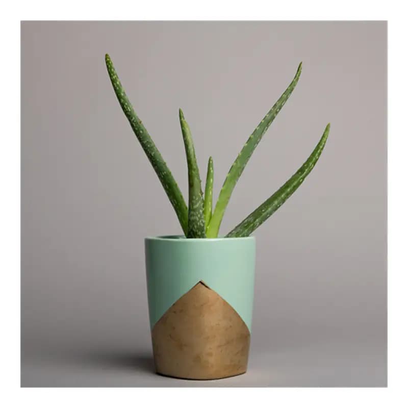 فون بک گراند عکاسی کاغذی Slate Grey کد 58 — تصویر ۴