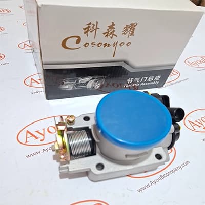 دریچه گاز وانت دیار کامل اصلی Cosonyoo