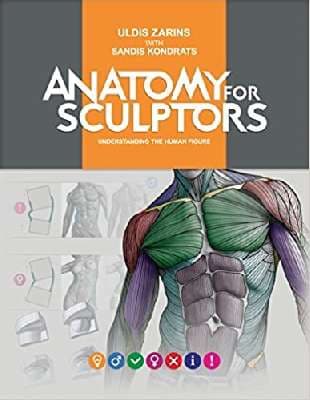 دانلود کتاب Anatomy for Sculptors Understanding the Human Form