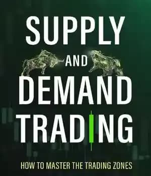 دانلود کتاب SUPPLY AND DEMAND TRADING: How To Master The Trading Zones – تجارت عرضه و تقاضا: نحوه تسلط بر…