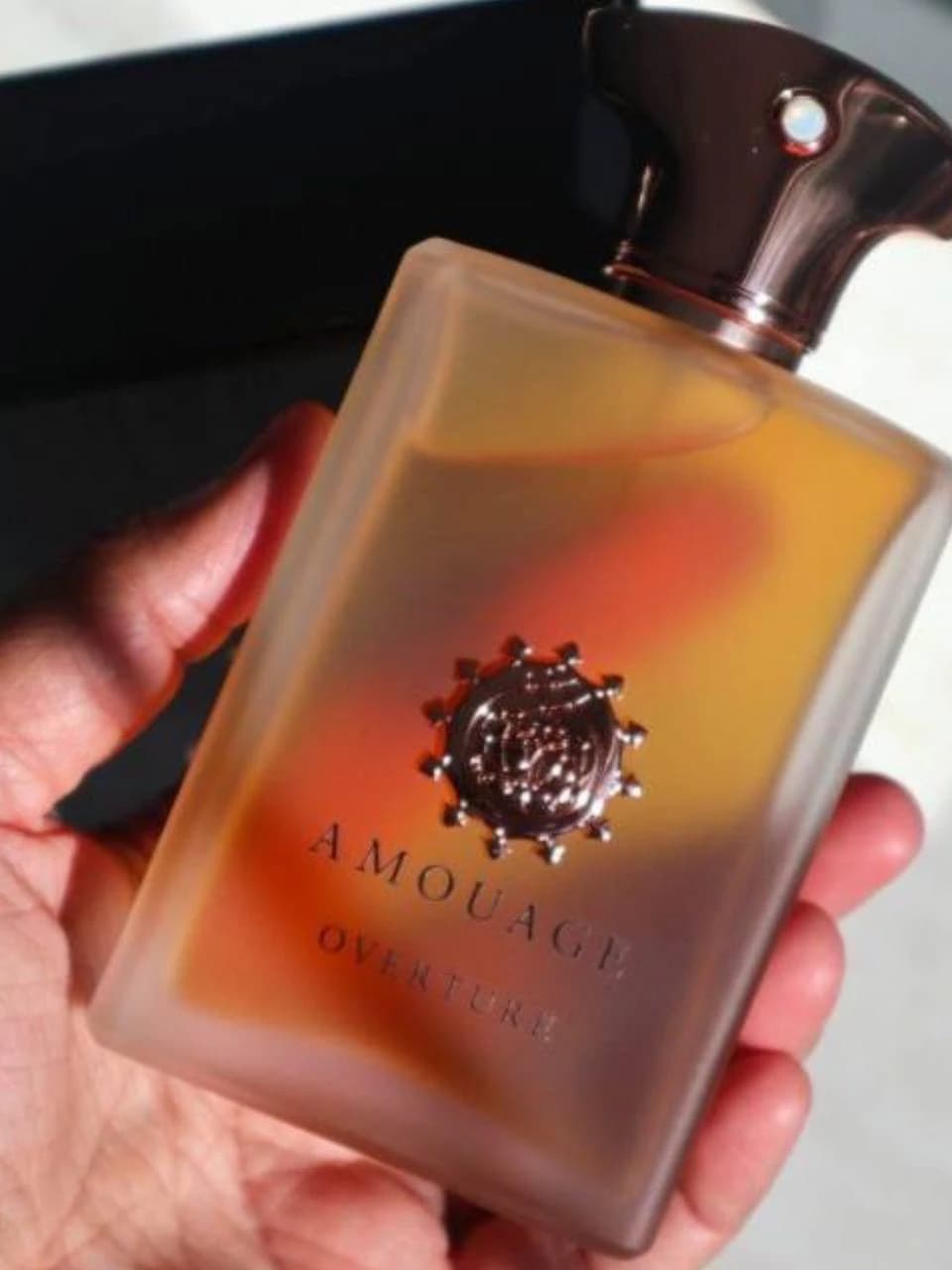 عطر آمواج اورتور | Amouage Overture Man — تصویر ۴