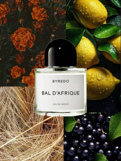 عطر بایردو بال د آفریقا | Byredo Bal d’Afrique — تصویر ۶