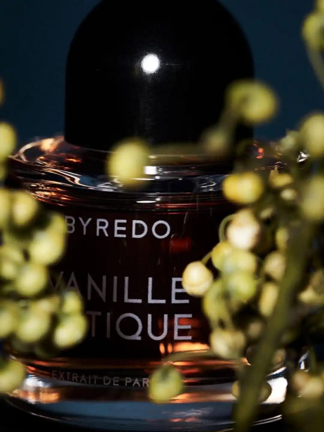عطر بایردو وانیلا آنیتک | Byredo Vanille Antique — تصویر ۶