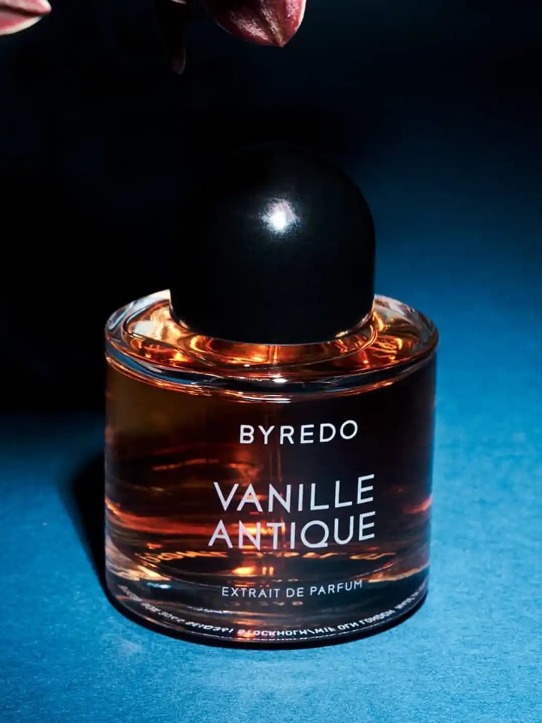 عطر بایردو وانیلا آنیتک | Byredo Vanille Antique — تصویر ۵