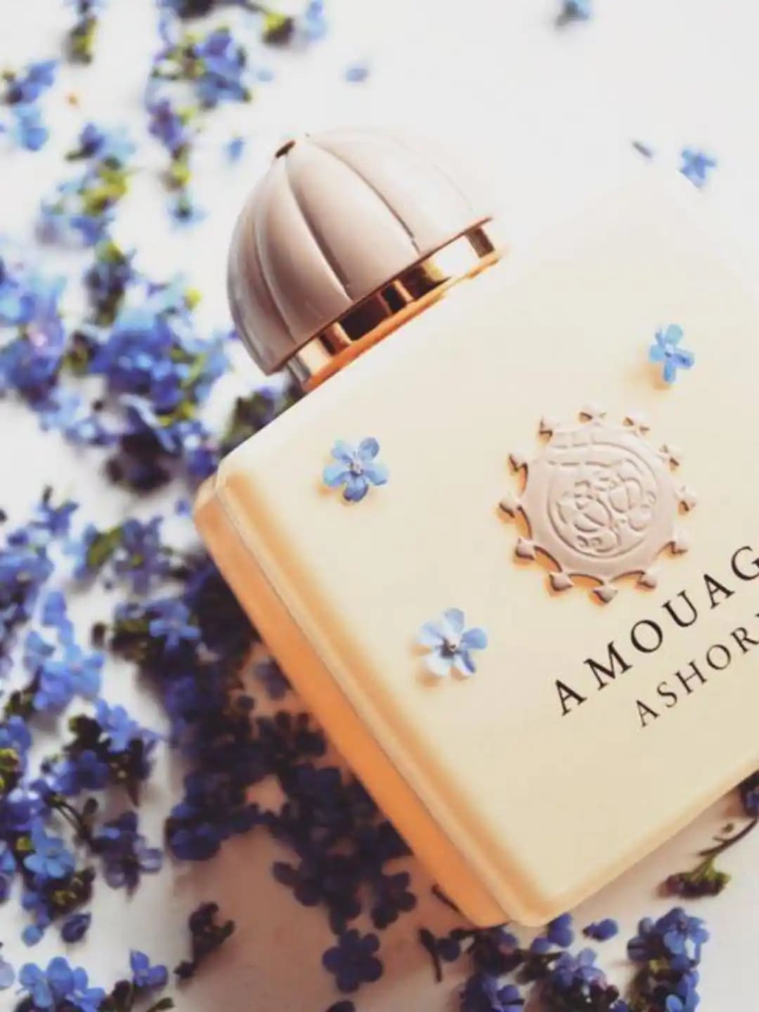 عطر آمواج آشور | Amouage Ashore — تصویر ۷