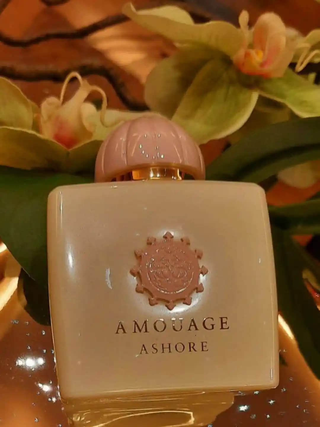 عطر آمواج آشور | Amouage Ashore — تصویر ۵