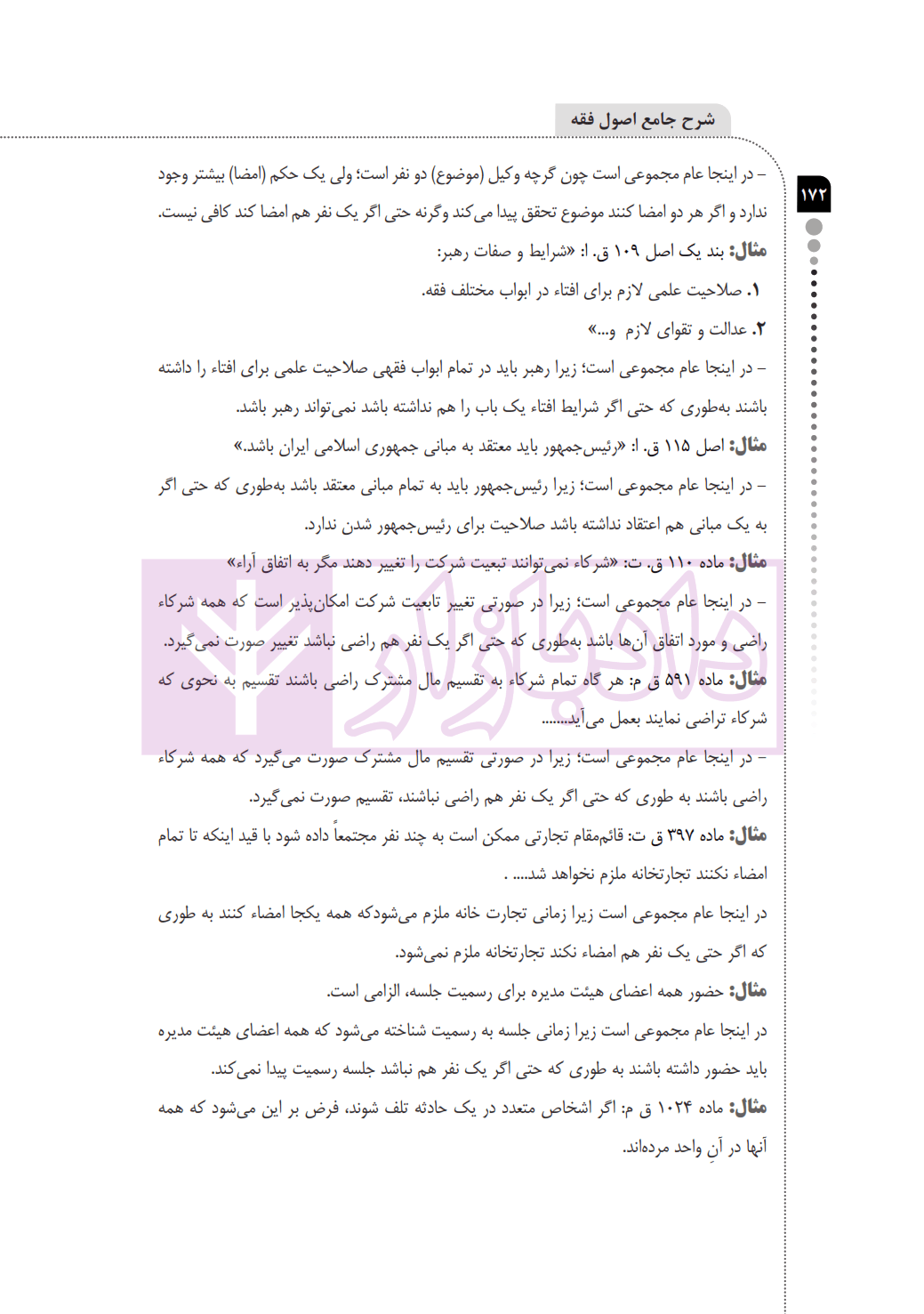 شرح جامع اصول فقه | سمیع پور — تصویر ۸