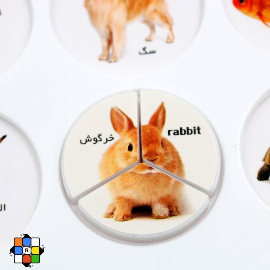 هوش چین مجموعه 3 تکه سری 1 — تصویر ۴