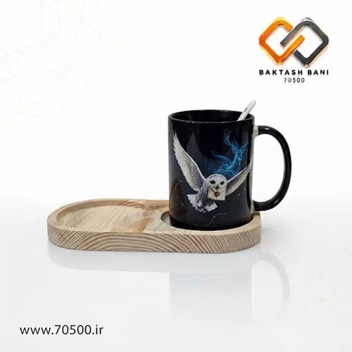 ماگ هدویگ جغد هری پاتر