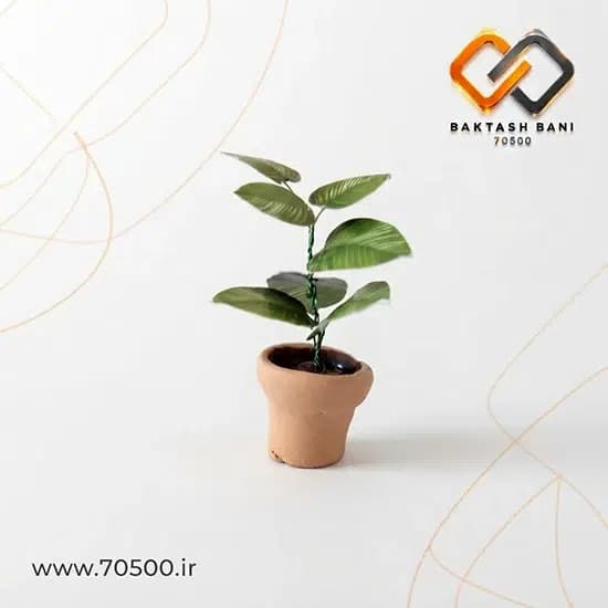 گلدان گل مینیاتوری — تصویر ۵