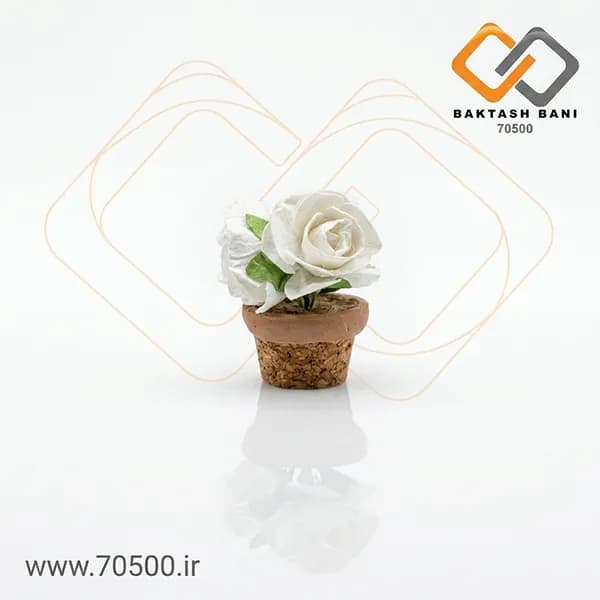 گلدان گل مینیاتوری — تصویر ۳