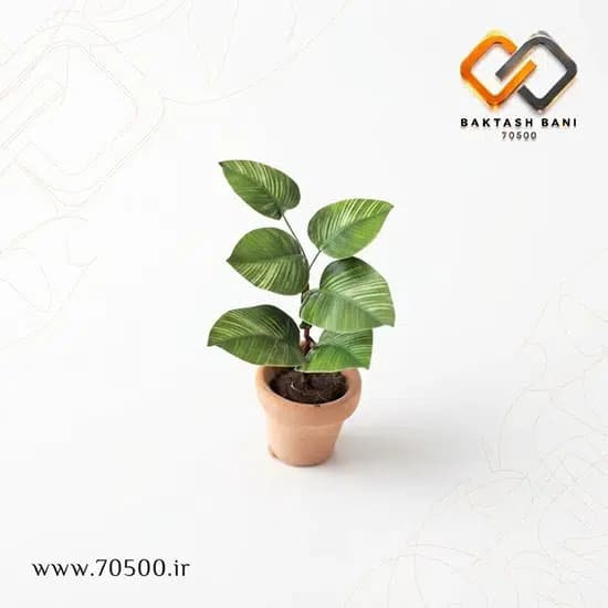 گلدان گل مینیاتوری — تصویر ۷