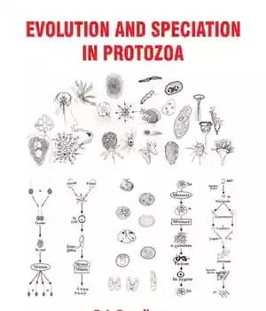 دانلود کتاب Evolution and Speciation in Protozoa – تکامل و گونه زایی در تک یاخته ها