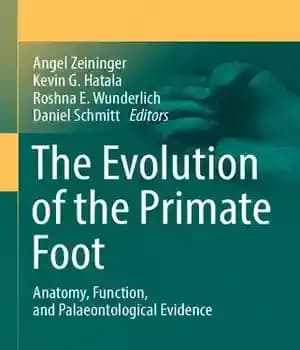 دانلود کتاب The Evolution of the Primate Foot: Anatomy, Function, and Palaeontological Evidence – تکامل پای نخستی: آناتومی، عملکرد و…