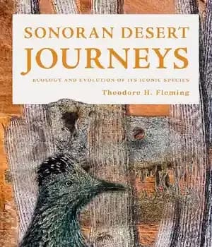دانلود کتاب Sonoran Desert Journeys: Ecology and Evolution of Its Iconic Species – سفرهای صحرای سونوران: بوم شناسی و تکامل…