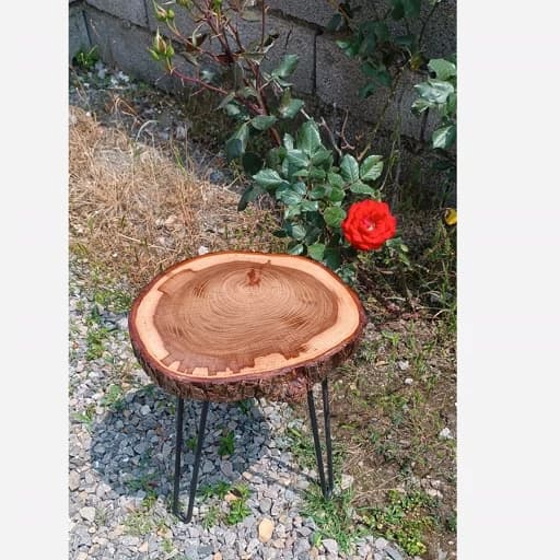 میز عسلی چوبی با پوسته طبیعی کامنا مدل 13153233