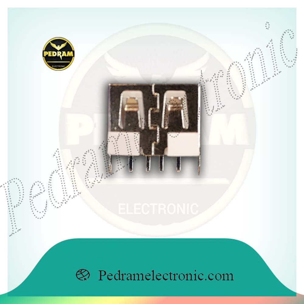 مادگی یو اس بی کوتاه ایستاده MADEGI USB KOTAH 2PIN ESTADEH(101)